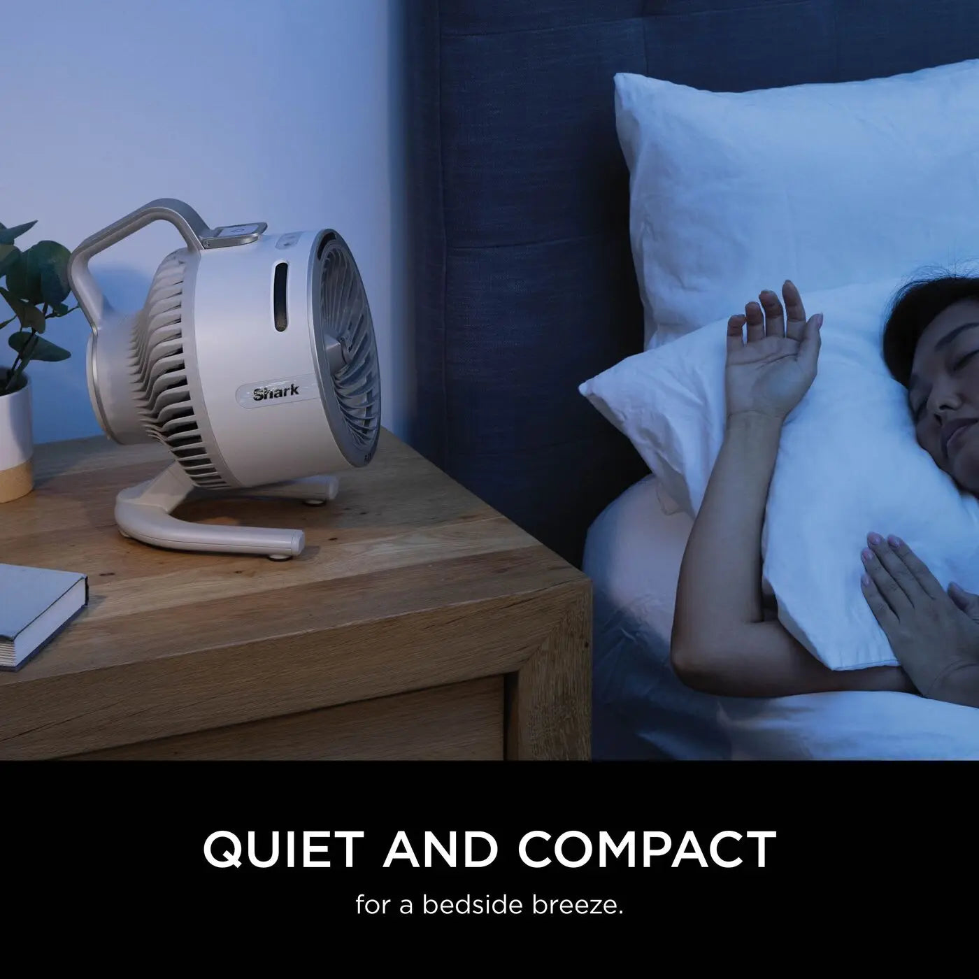 Portable Fan with Misting, Corded & Cordless, Indoor & Outdoor Use